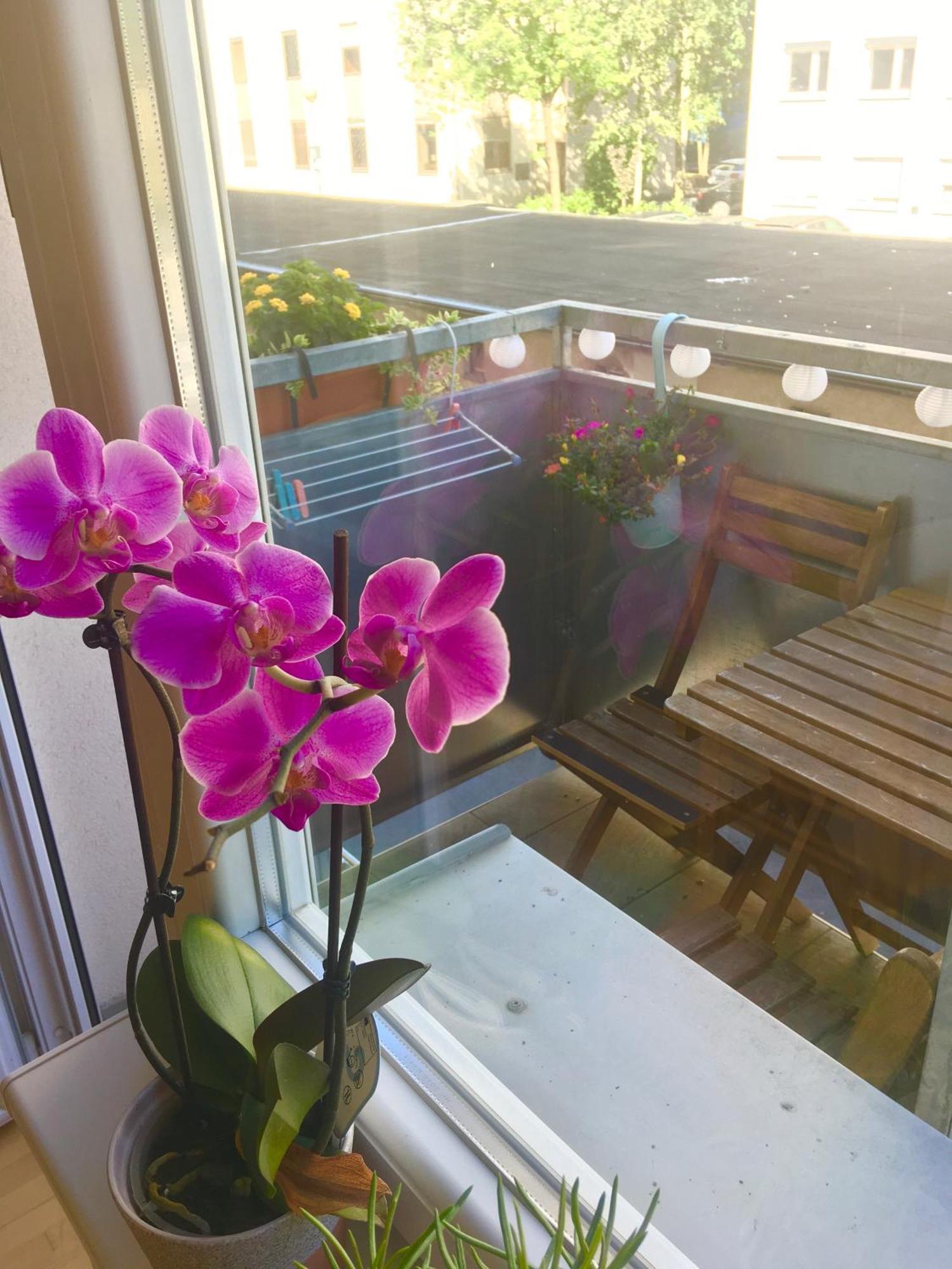 Cosy Studio Andy With Great Location Apartment Ljubljana Exterior photo
